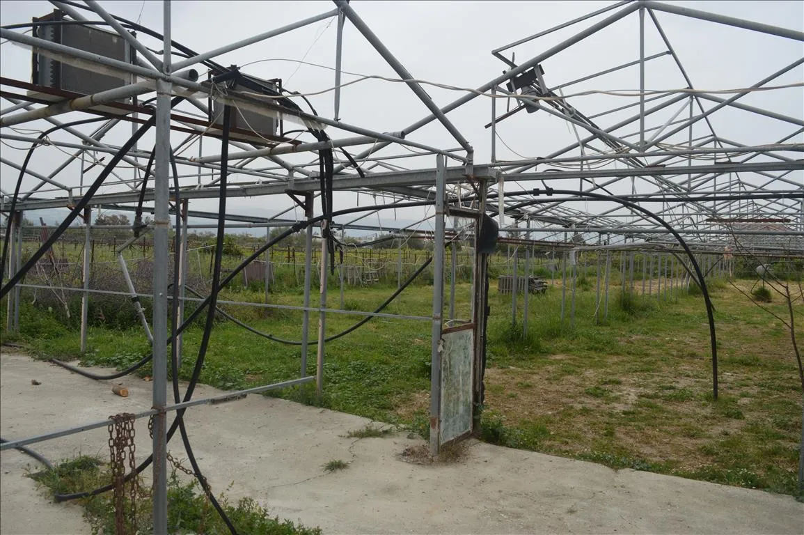 γη προς πώληση 4250 τ.μ Βόχα Κορινθία