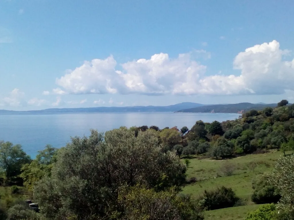 γη προς πώληση 8500 τ.μ Αριστοτέλης Χαλκιδική