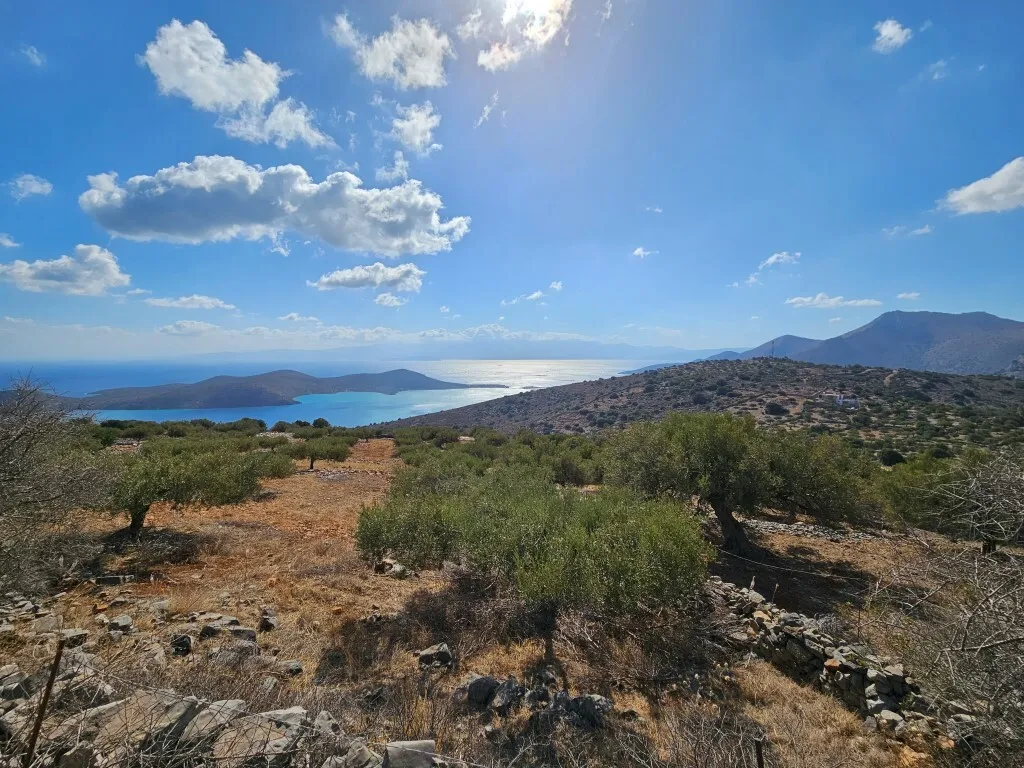 γη προς πώληση 12178 τ.μ Άγιος Νικόλαος Νομός Λασιθίου