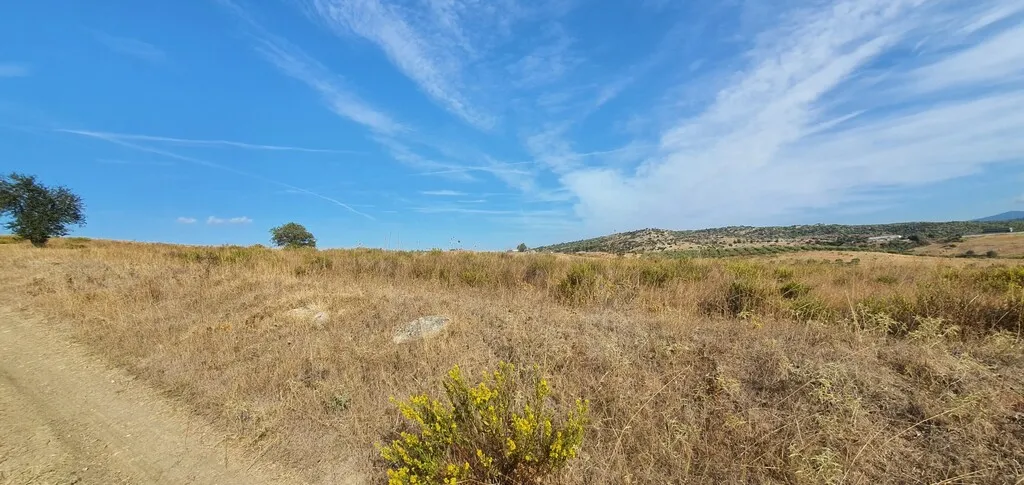 γη προς πώληση 5200 τ.μ Σιθωνία Χαλκιδική