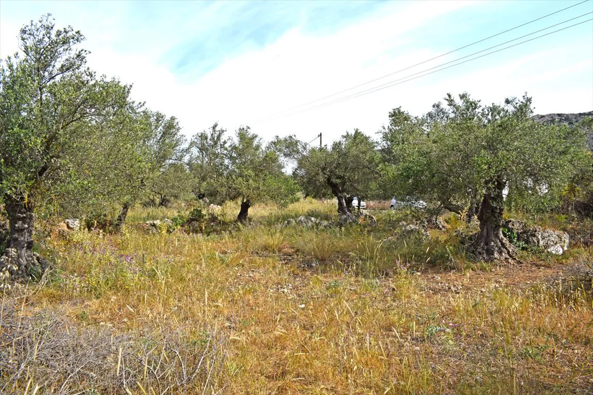 γη προς πώληση 1673 τ.μ Βάμος Νομός Χανίων