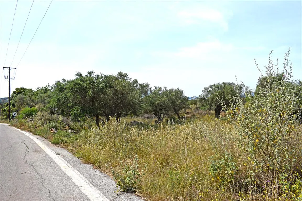 γη προς πώληση 1673 τ.μ Βάμος Νομός Χανίων