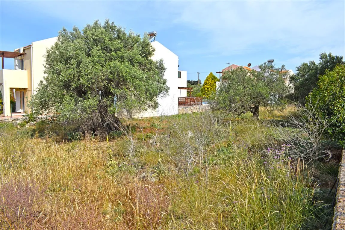 γη προς πώληση 1471 τ.μ Βάμος Νομός Χανίων