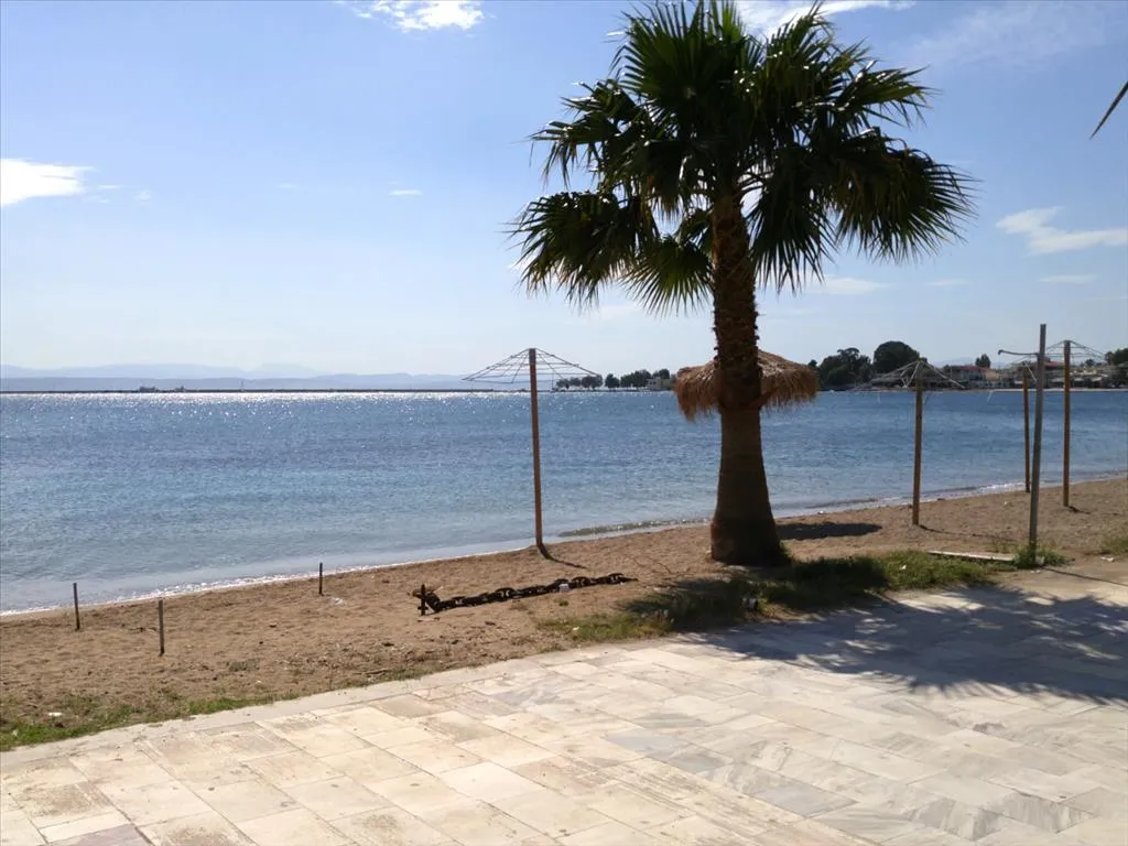 ξενοδοχείο προς πώληση 3900 τ.μ Ερέτρια Εύβοια