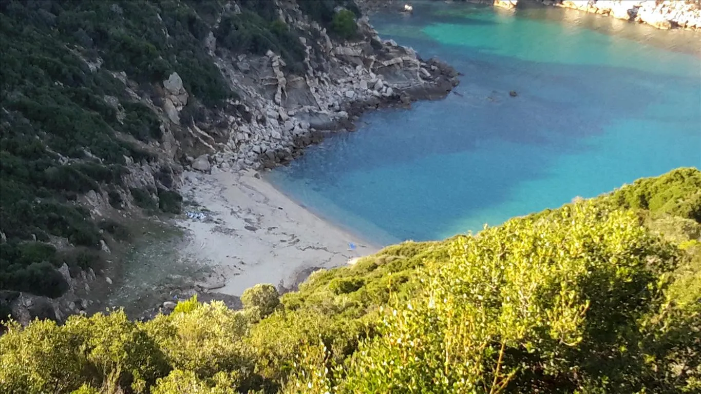 γη προς πώληση 12000 τ.μ Σιθωνία Χαλκιδική