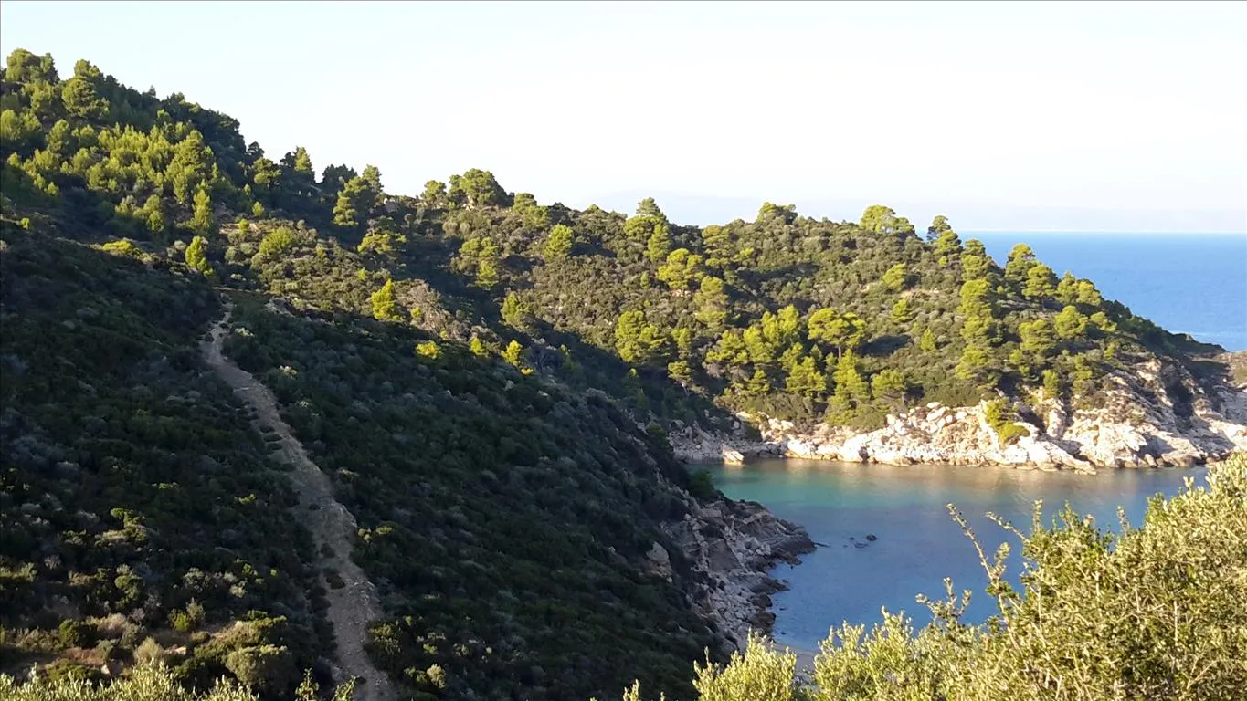 γη προς πώληση 12000 τ.μ Σιθωνία Χαλκιδική