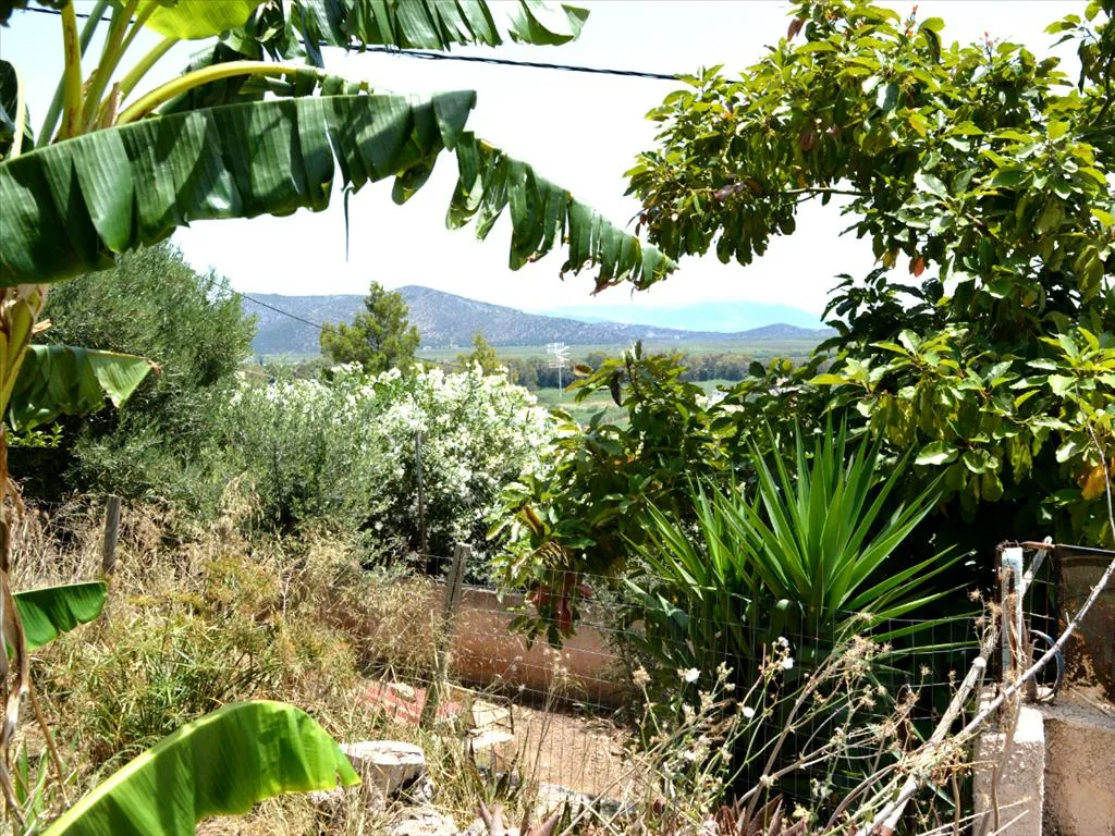 μονοκατοικία προς πώληση 93 τ.μ Μαραθώνας Ανατολικά Αθήνας