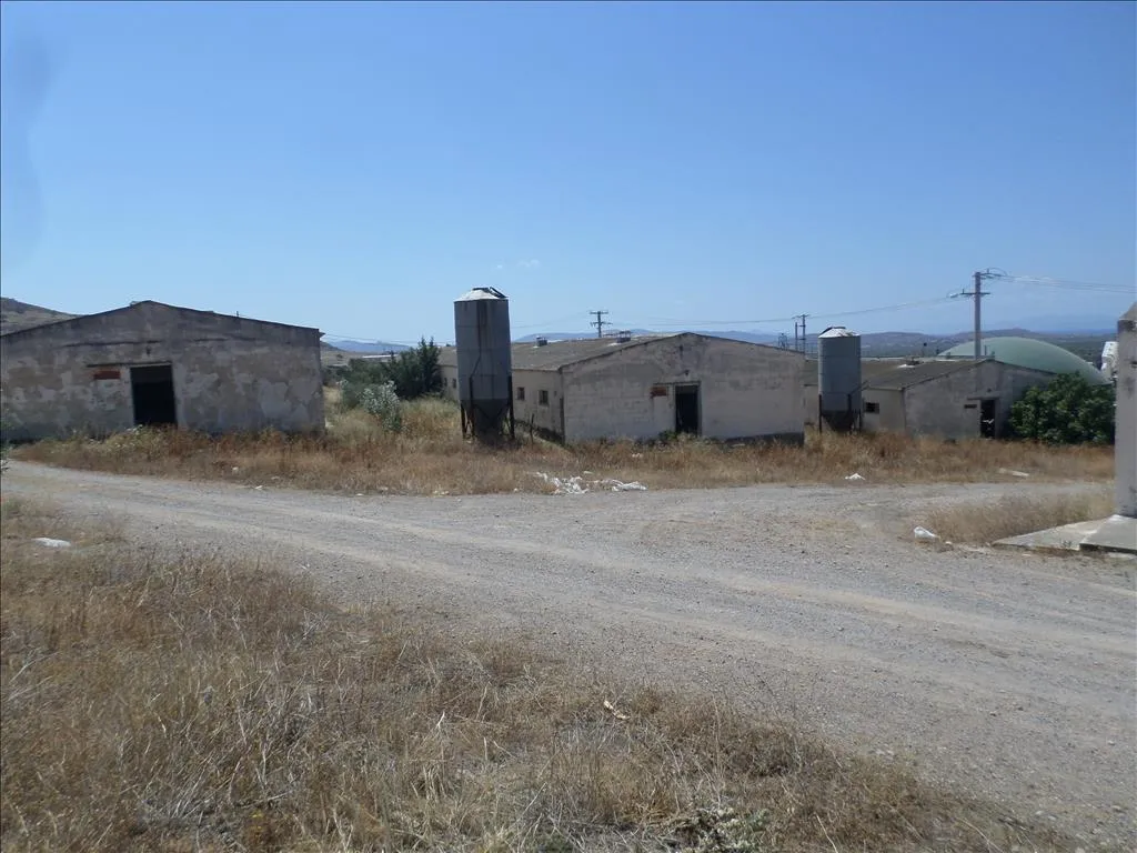 γη προς πώληση 22000 τ.μ Μέγαρα Υπόλοιπη Αττικής