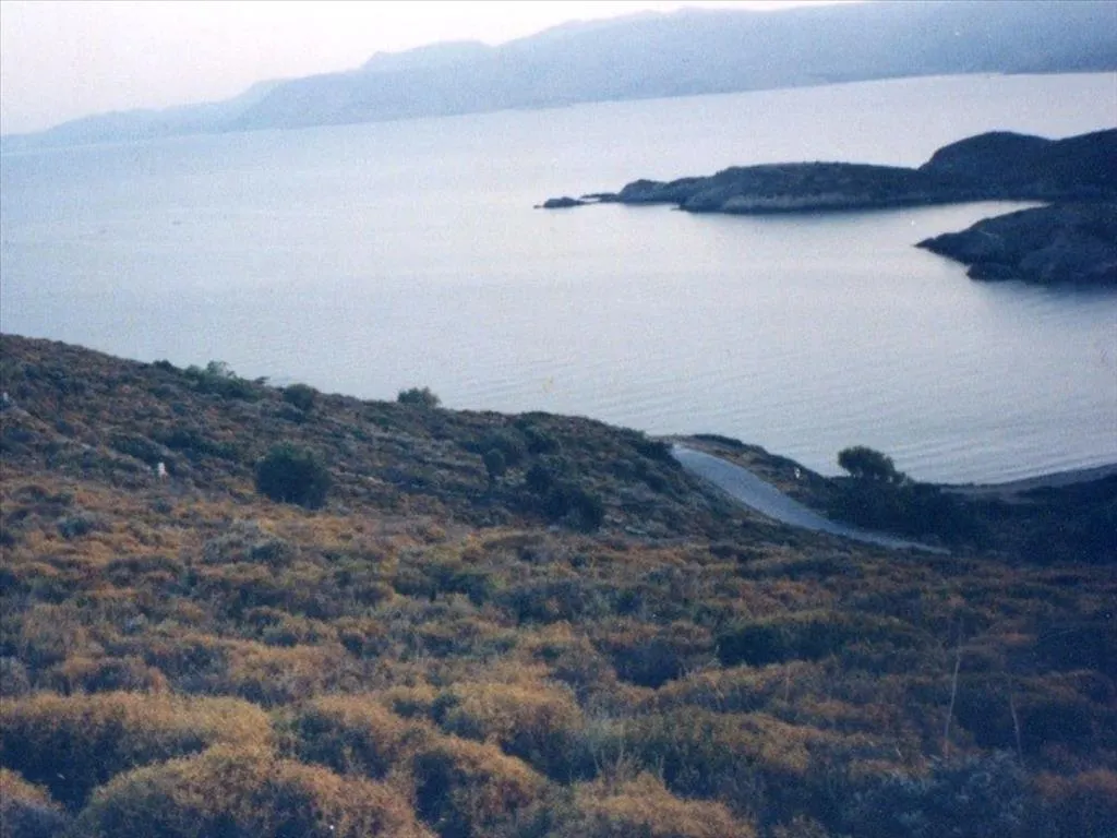 γη προς πώληση 76000 τ.μ Χίος Νομός Χίου