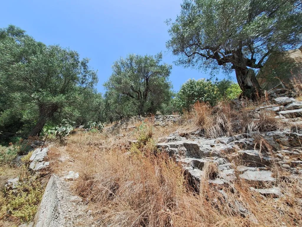 γη προς πώληση 6000 τ.μ Κέρκυρα Νομός Κέρκυρας