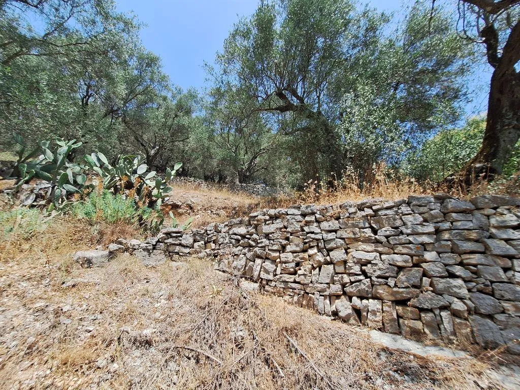 γη προς πώληση 6000 τ.μ Κέρκυρα Νομός Κέρκυρας