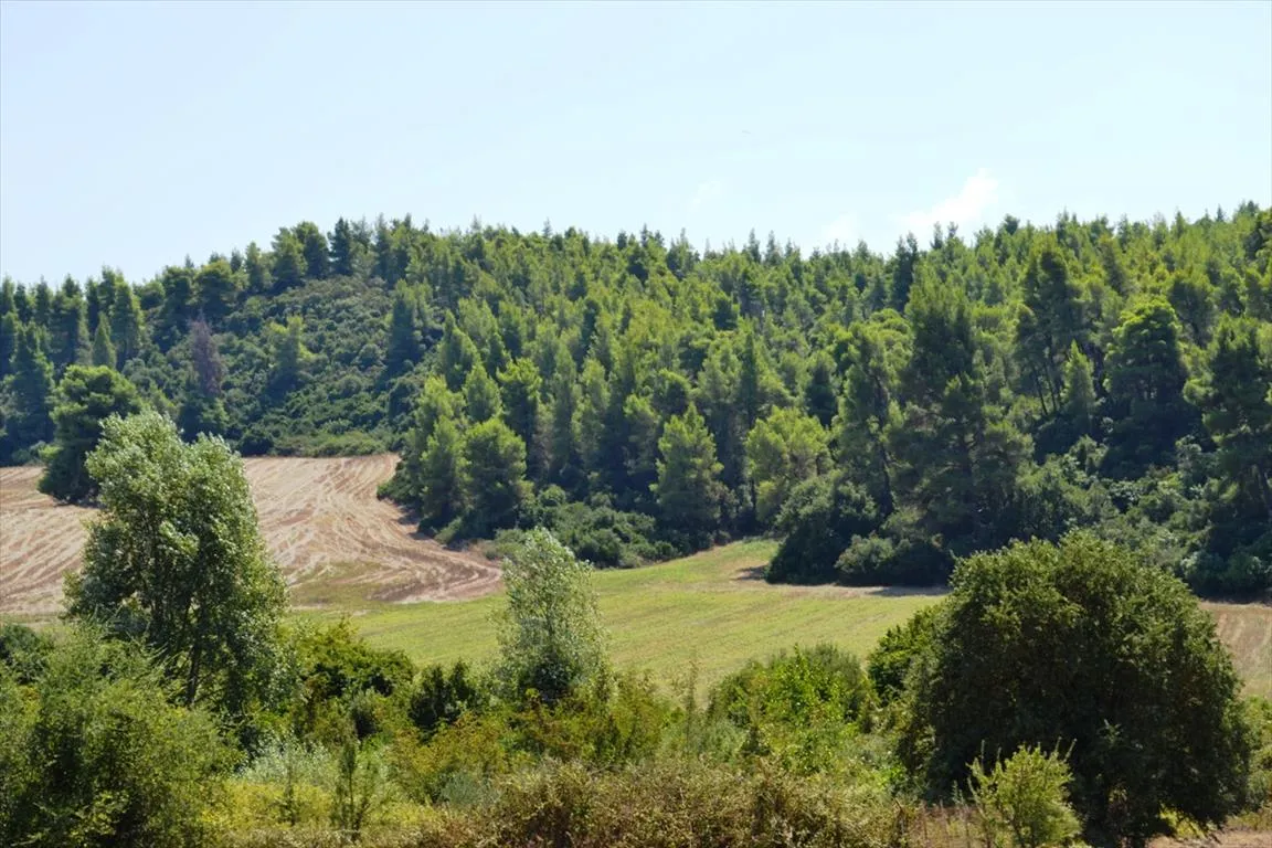 γη προς πώληση 4200 τ.μ Κασσάνδρα Χαλκιδική