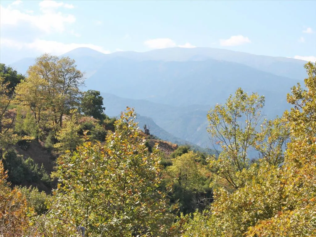 γη προς πώληση 340 τ.μ Δίον Νομός Πιερίας