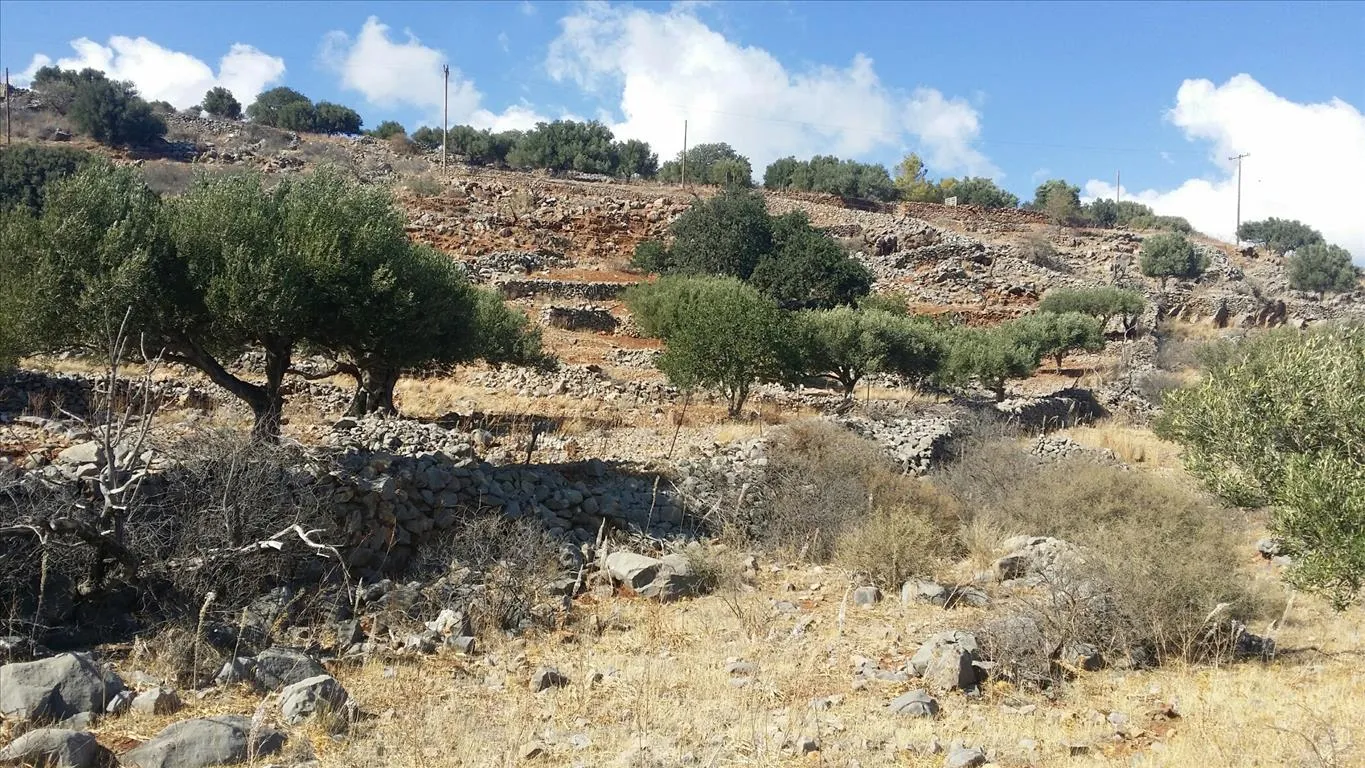γη προς πώληση 5779 τ.μ Άγιος Νικόλαος Νομός Λασιθίου
