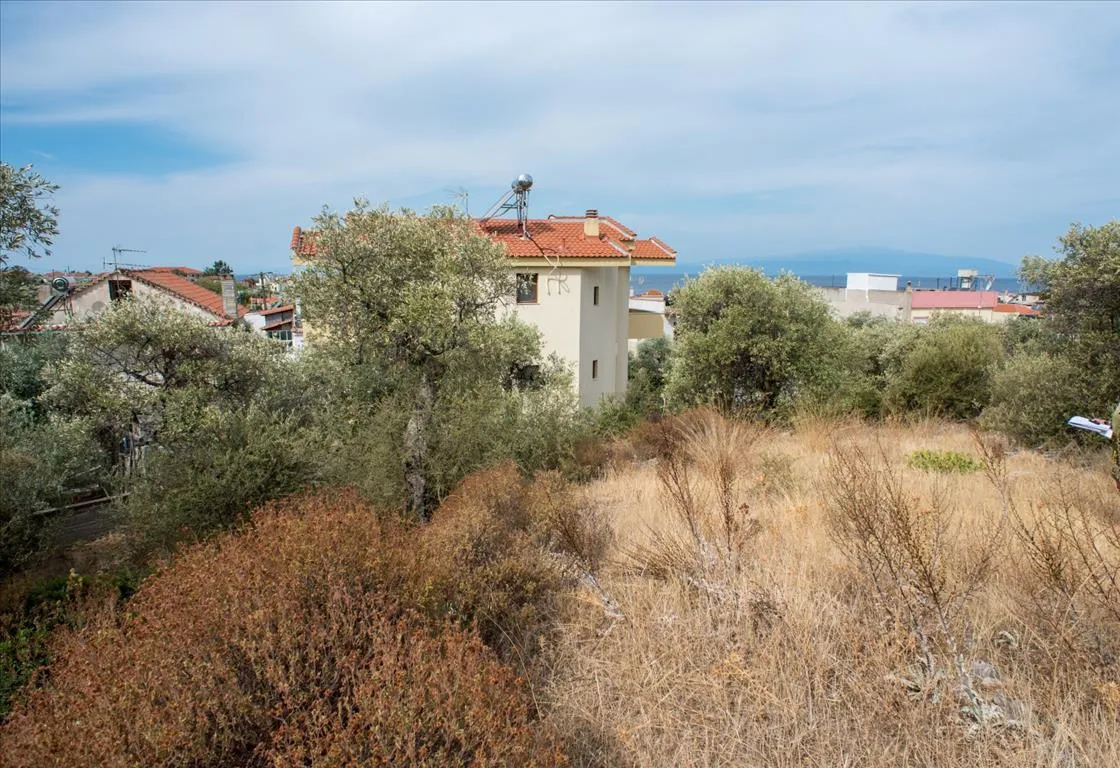 γη προς πώληση 1086 τ.μ Θάσος Νομός Καβάλας