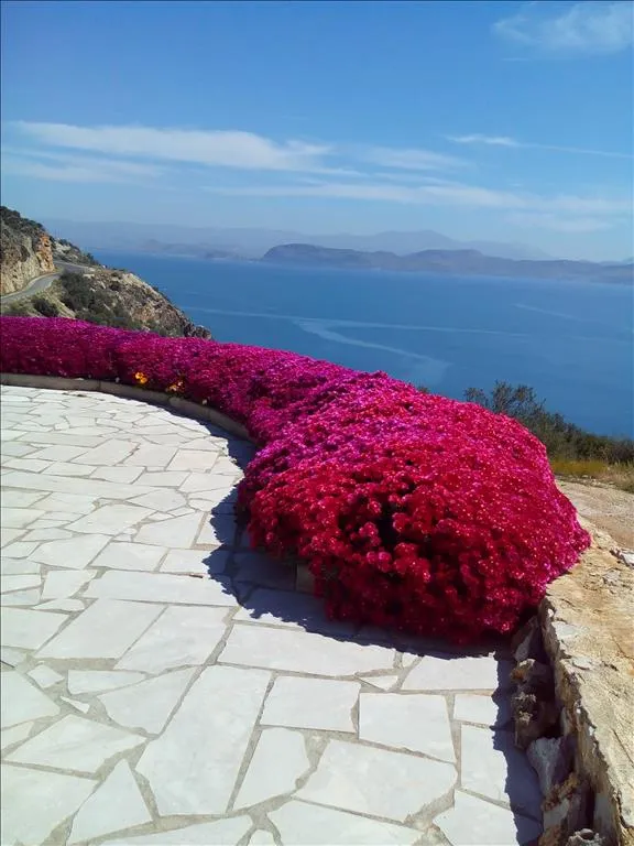 μονοκατοικία προς πώληση 400 τ.μ Βόρεια Κυνουρία Αρκαδία