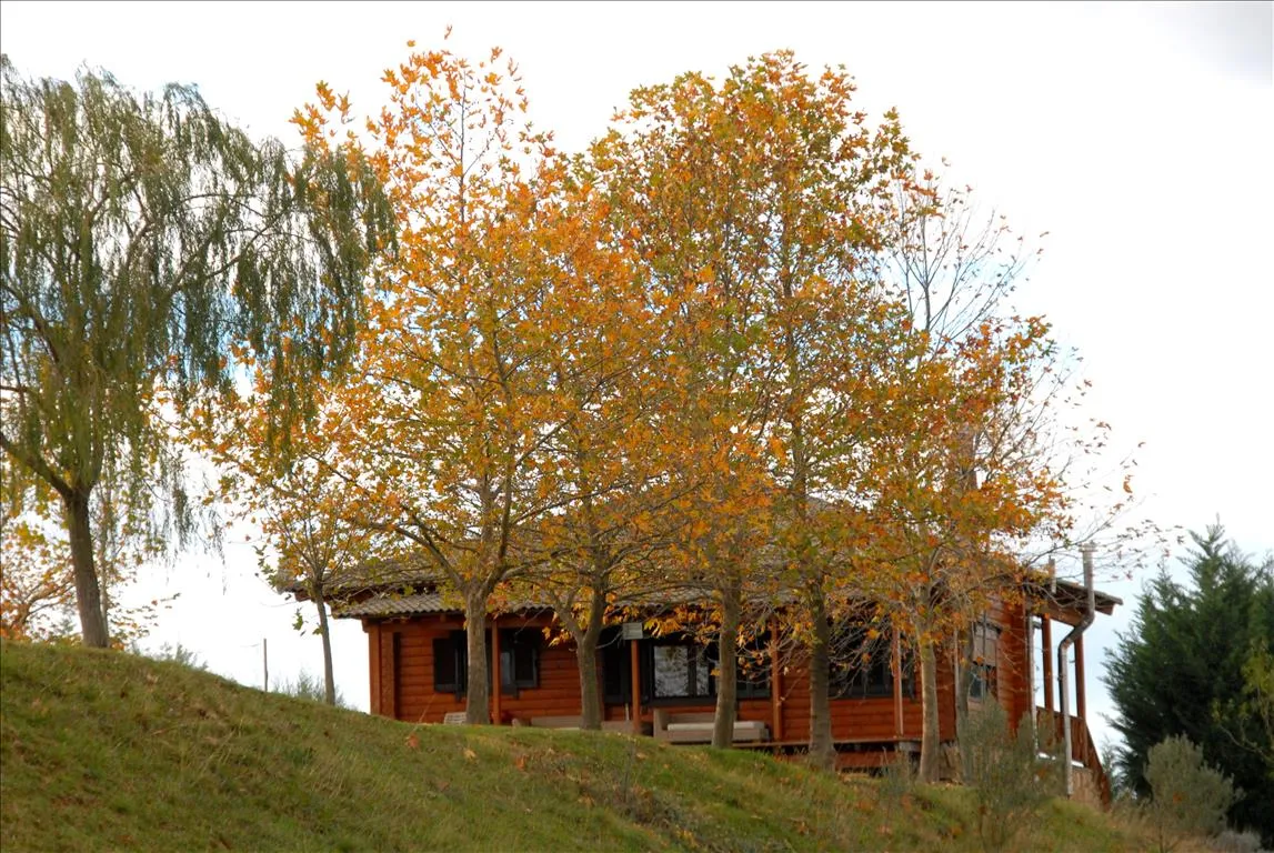 μονοκατοικία προς πώληση 150 τ.μ Κιλκίς Νομός Κιλκίς