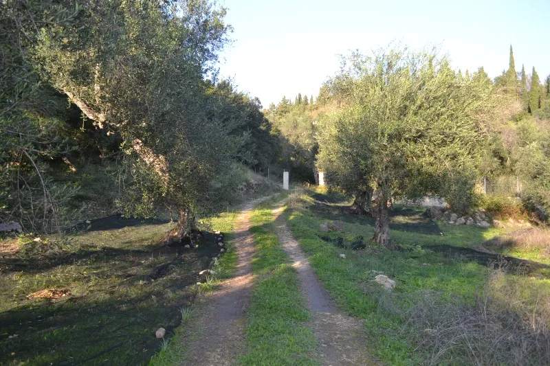 γη προς πώληση 8253 τ.μ Κέρκυρα Νομός Κέρκυρας