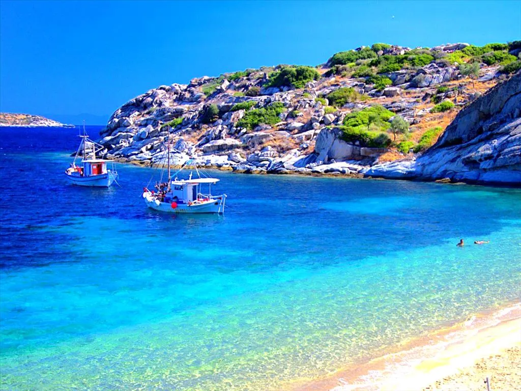 γη προς πώληση 4500 τ.μ Μαλεσίνα Φθιώτιδα