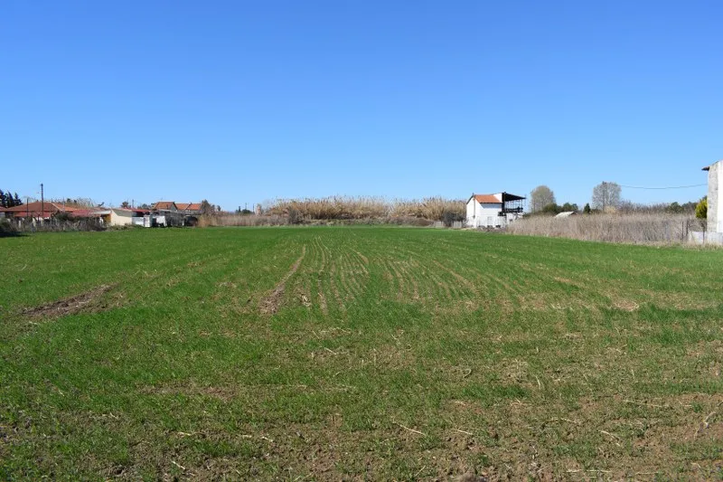 γη προς πώληση 4008 τ.μ Νέα Προποντίδα Χαλκιδική