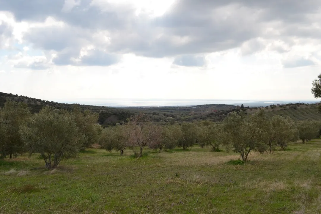 γη προς πώληση 105000 τ.μ Πολύγυρος Χαλκιδική