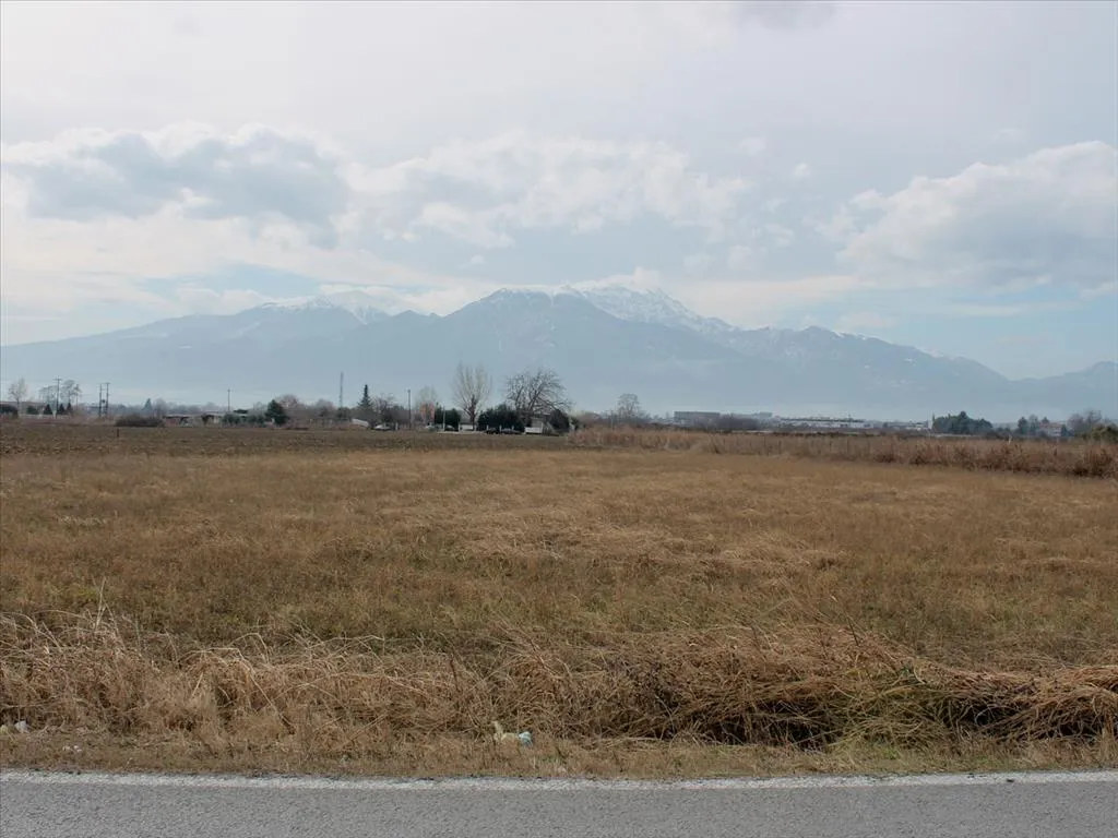 γη προς πώληση 4000 τ.μ Κατερίνη Νομός Πιερίας