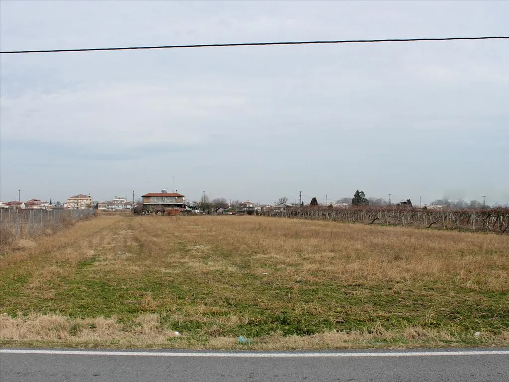 γη προς πώληση 4000 τ.μ Κατερίνη Νομός Πιερίας