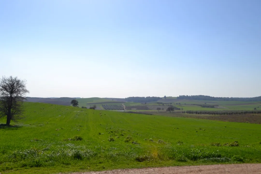 γη προς πώληση 10500 τ.μ Κασσάνδρα Χαλκιδική