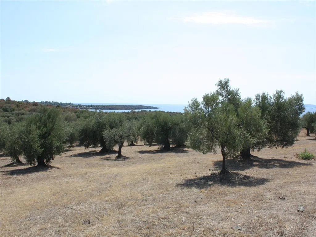 γη προς πώληση 4070 τ.μ Σιθωνία Χαλκιδική