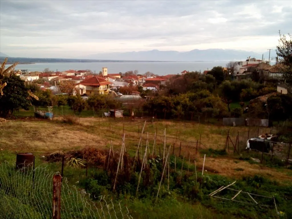 γη προς πώληση 1000 τ.μ Πεταλίδι Μεσσηνία