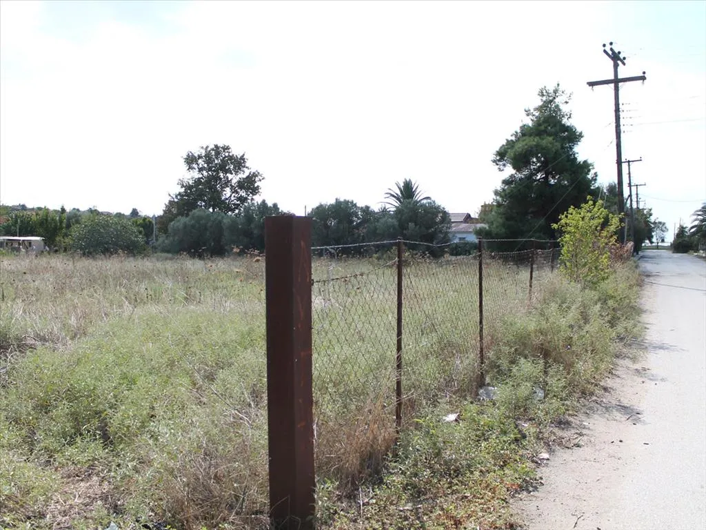 γη προς πώληση  τ.μ  Χαλκιδική