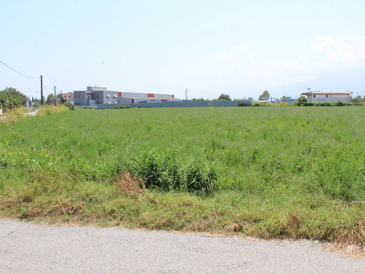 γη προς πώληση 7642 τ.μ Κατερίνη Νομός Πιερίας