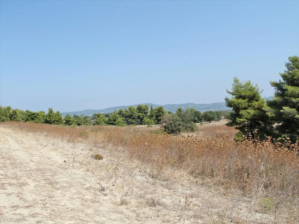 γη προς πώληση 12000 τ.μ Κασσάνδρα Χαλκιδική