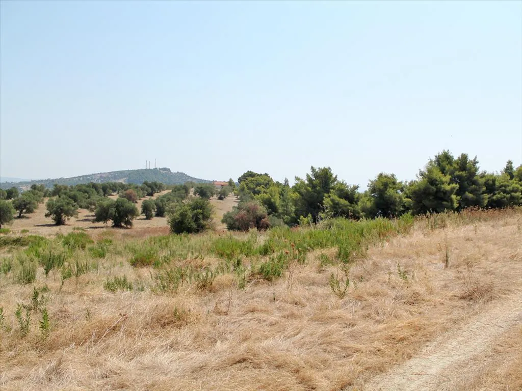 γη προς πώληση 12000 τ.μ Κασσάνδρα Χαλκιδική