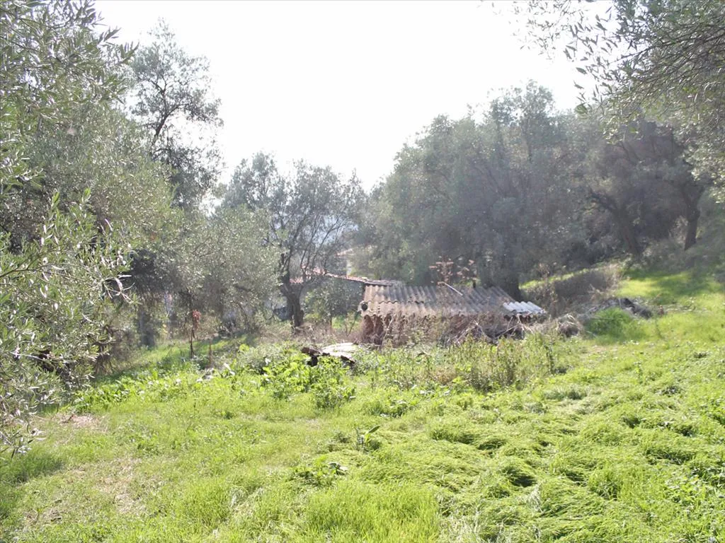 γη προς πώληση 342 τ.μ Κασσάνδρα Χαλκιδική