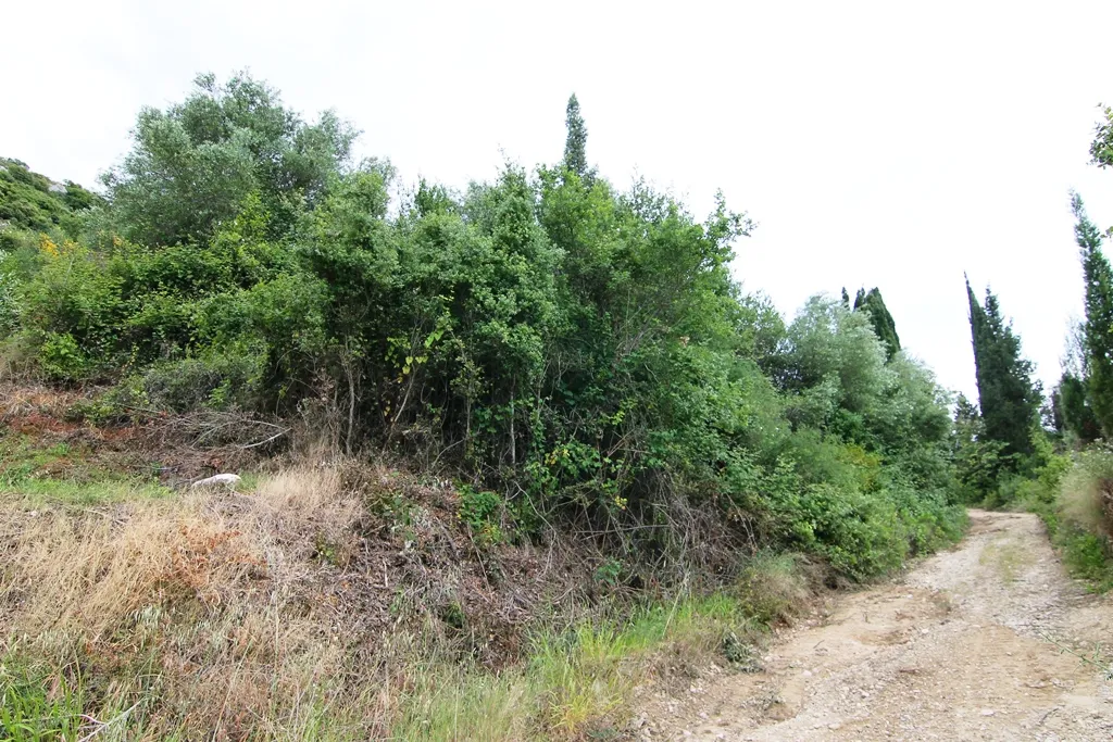 γη προς πώληση 13000 τ.μ Κέρκυρα Νομός Κέρκυρας