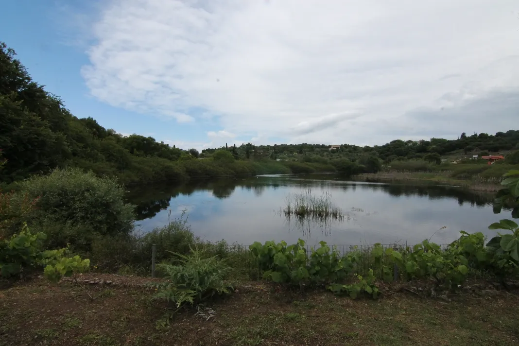 γη προς πώληση 12000 τ.μ Κέρκυρα Νομός Κέρκυρας