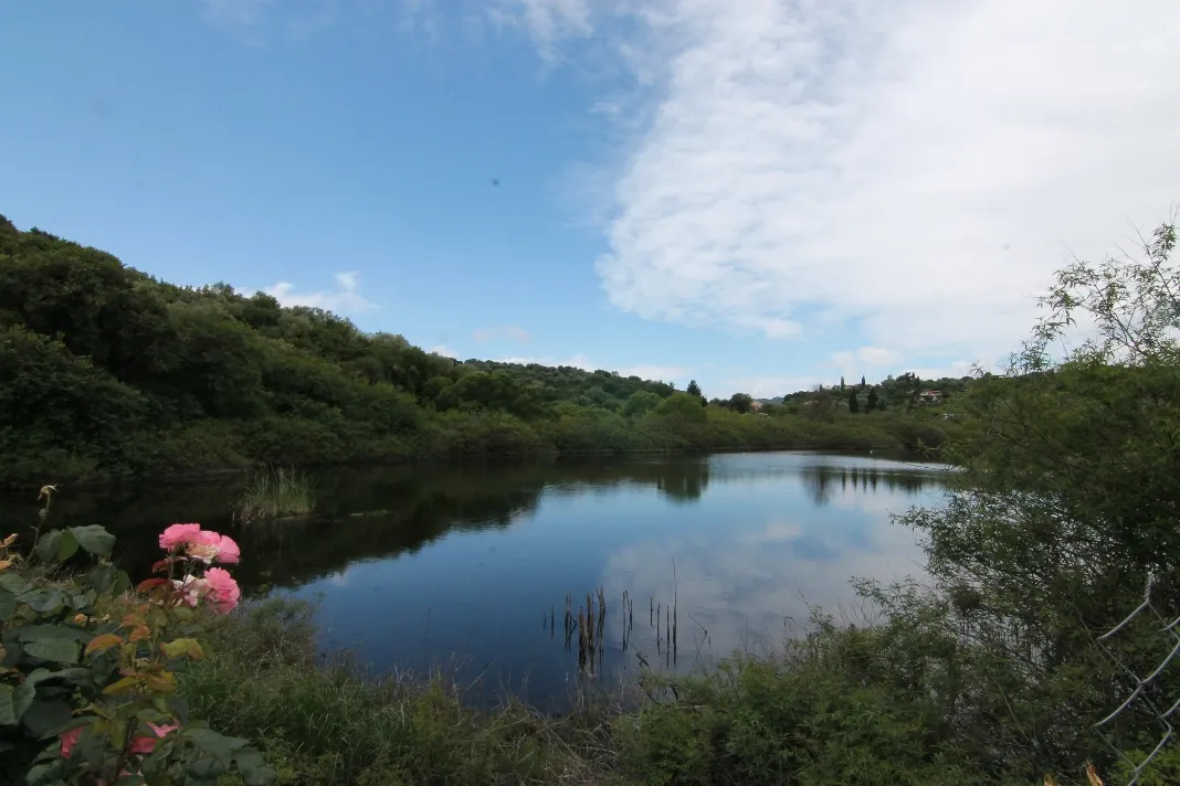 γη προς πώληση 12000 τ.μ Κέρκυρα Νομός Κέρκυρας