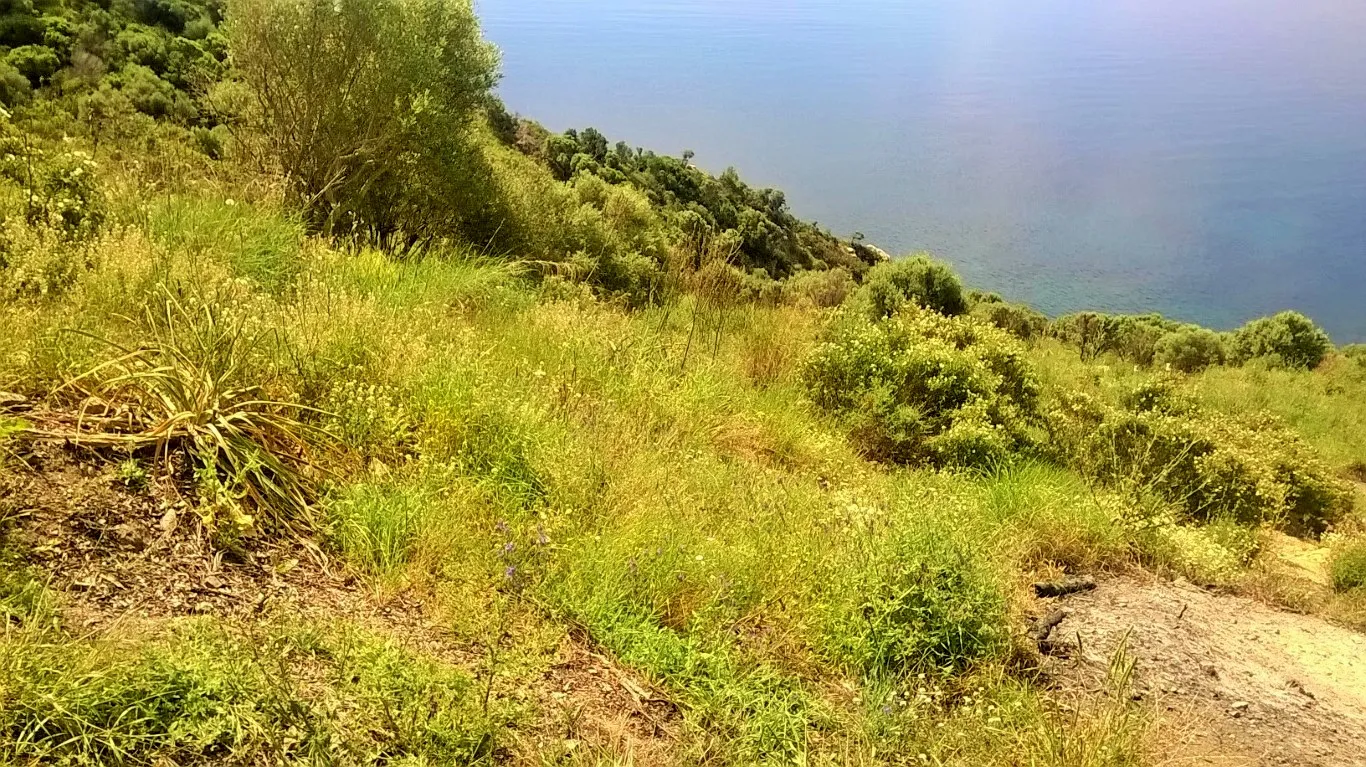 γη προς πώληση 17720 τ.μ Αριστοτέλης Χαλκιδική