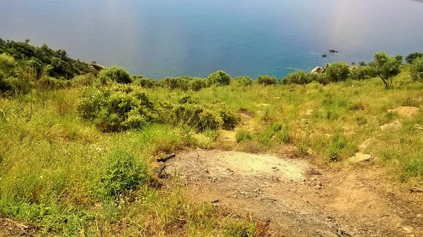 γη προς πώληση 17720 τ.μ Αριστοτέλης Χαλκιδική