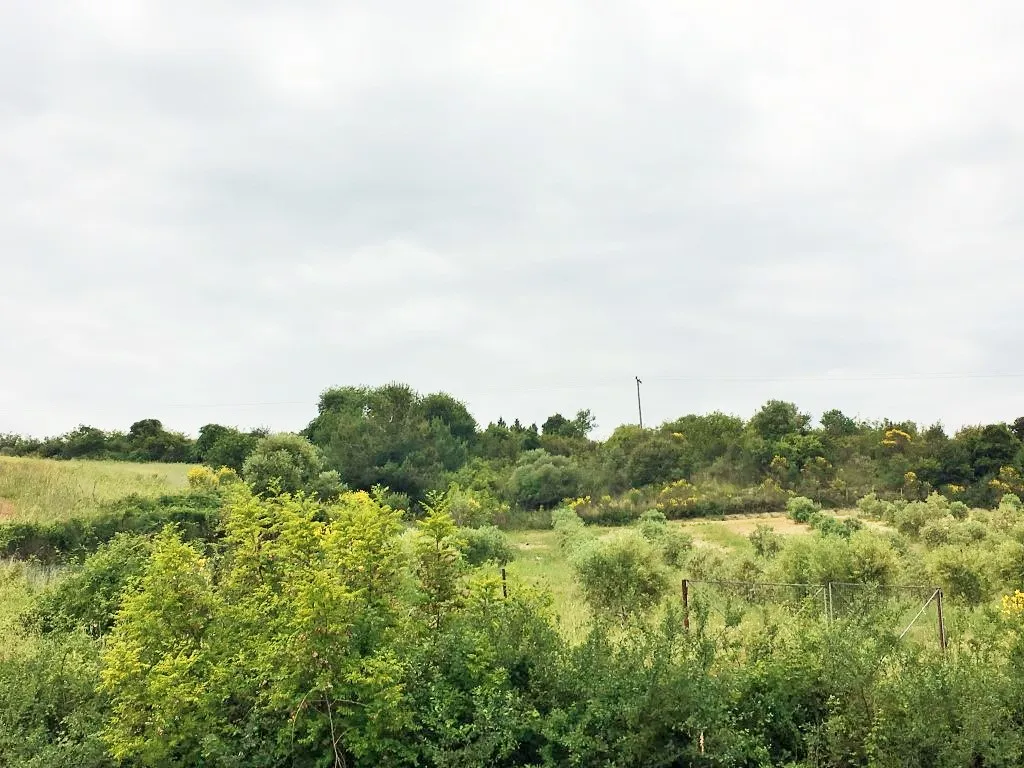 γη προς πώληση 12250 τ.μ Αριστοτέλης Χαλκιδική