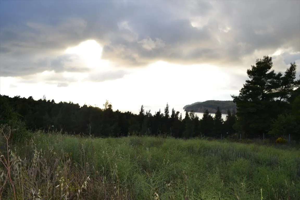 γη προς πώληση 5600 τ.μ Κασσάνδρα Χαλκιδική