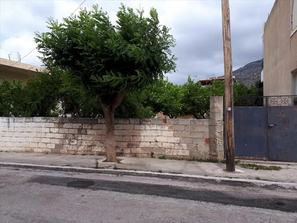 γη προς πώληση 300 τ.μ Ανάβυσσος Υπόλοιπη Αττικής