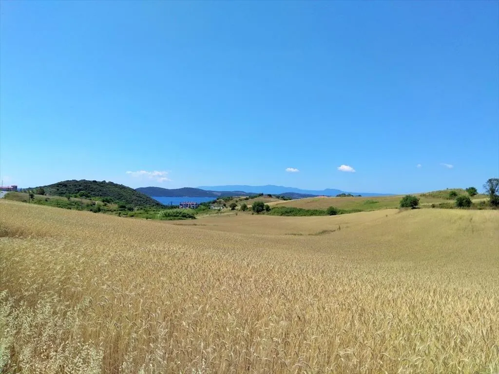 γη προς πώληση 13115 τ.μ Αριστοτέλης Χαλκιδική