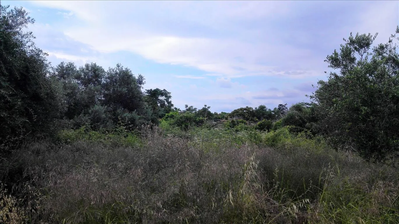 γη προς πώληση 400 τ.μ Σφακιά Νομός Χανίων