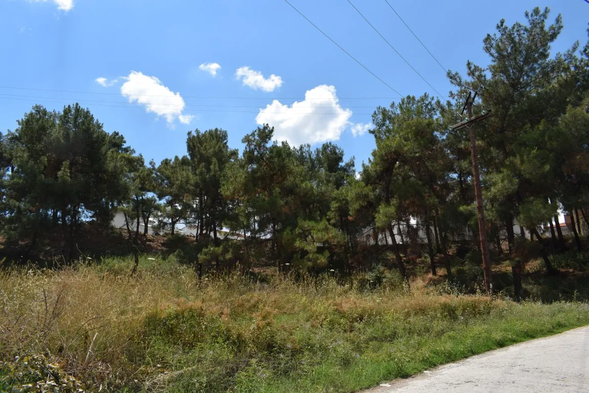 γη προς πώληση 514 τ.μ Βασιλικά Προάστια Θεσσαλονίκης