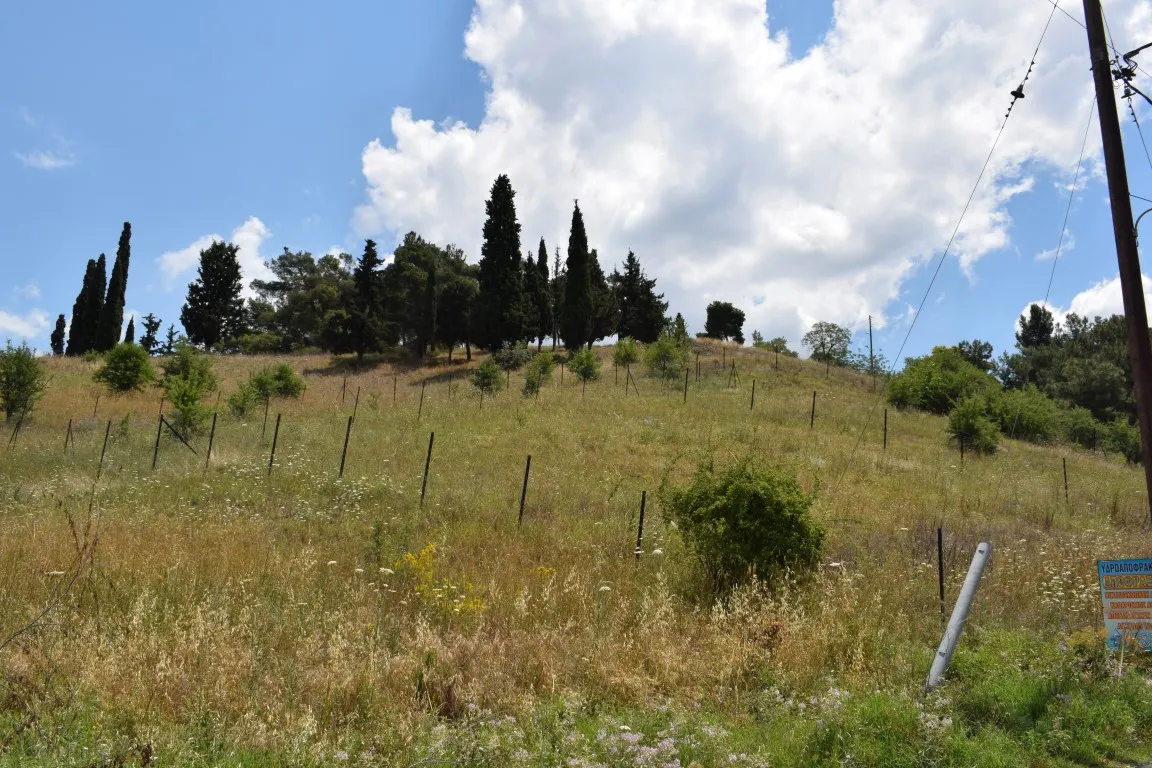 γη προς πώληση 596 τ.μ Βασιλικά Προάστια Θεσσαλονίκης