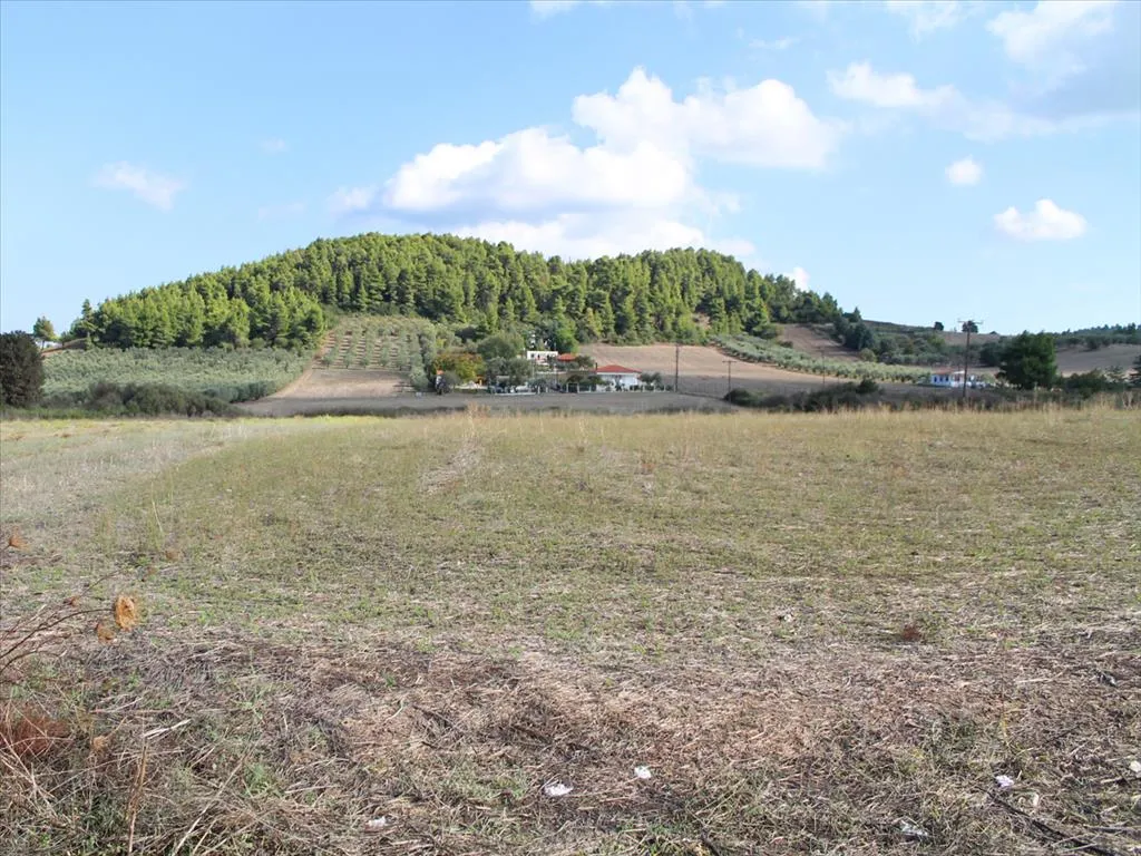 γη προς πώληση 7500 τ.μ Κασσάνδρα Χαλκιδική