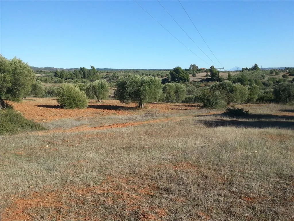 γη προς πώληση 5000 τ.μ Σιθωνία Χαλκιδική