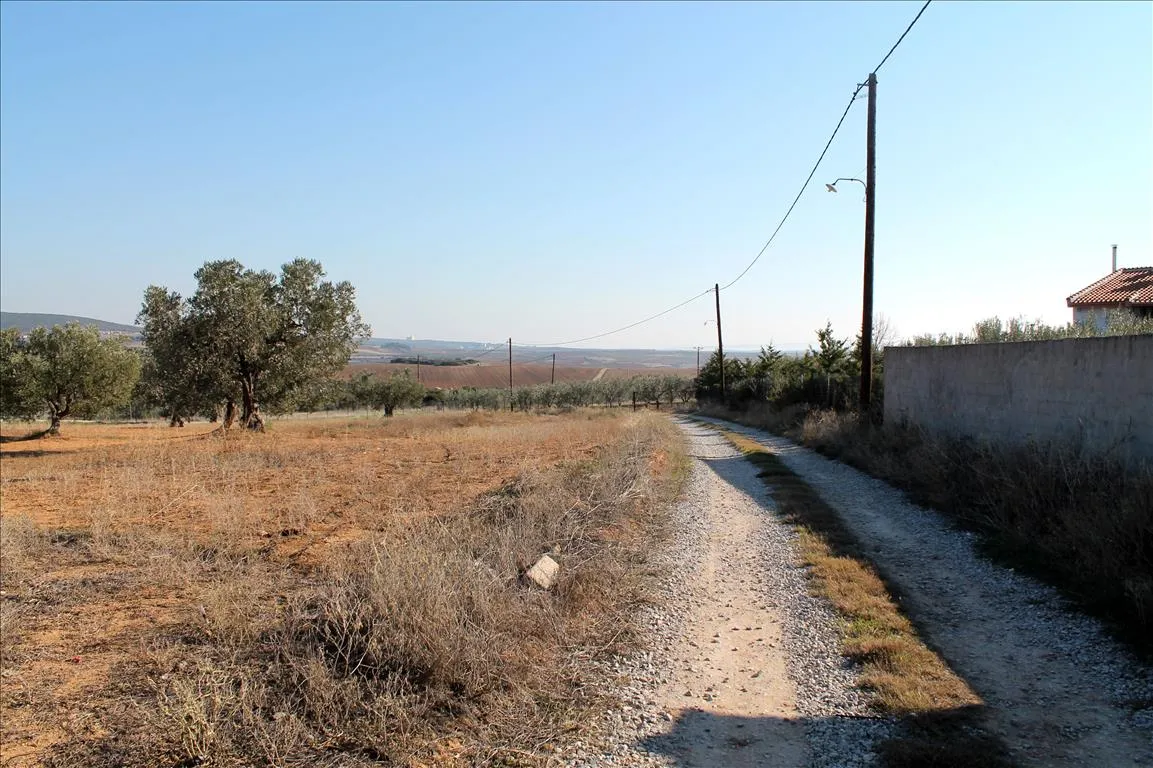 γη προς πώληση  τ.μ  Χαλκιδική